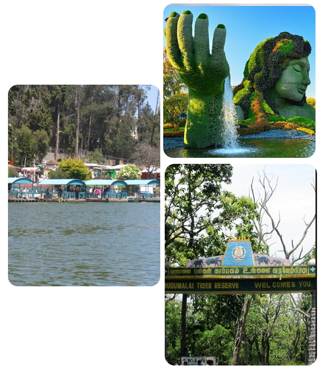 Chennai to Ooty Tour Package By Car